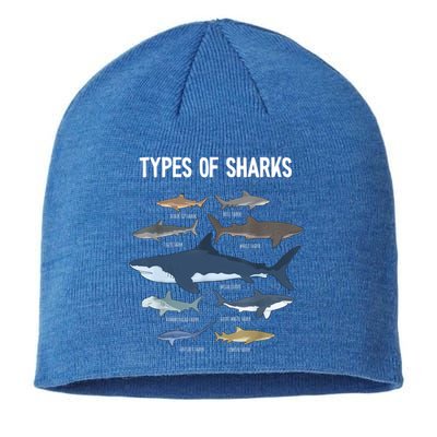 Shark Lover Shirt, Shark Lover Gift, Types Of Shark Sustainable Beanie