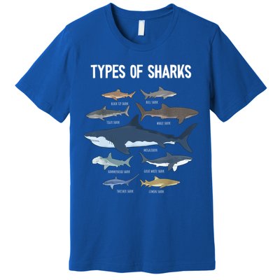 Shark Lover Shirt, Shark Lover Gift, Types Of Shark Premium T-Shirt