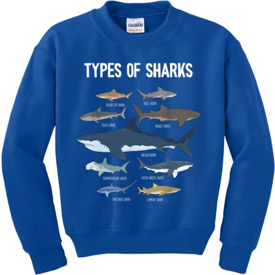 Shark Lover Shirt, Shark Lover Gift, Types Of Shark Kids Sweatshirt