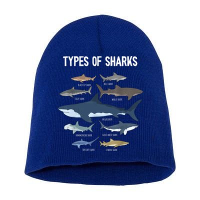 Shark Lover Shirt, Shark Lover Gift, Types Of Shark Short Acrylic Beanie