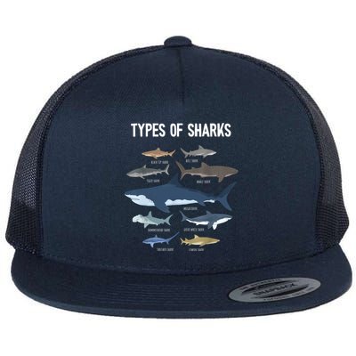 Shark Lover Shirt, Shark Lover Gift, Types Of Shark Flat Bill Trucker Hat