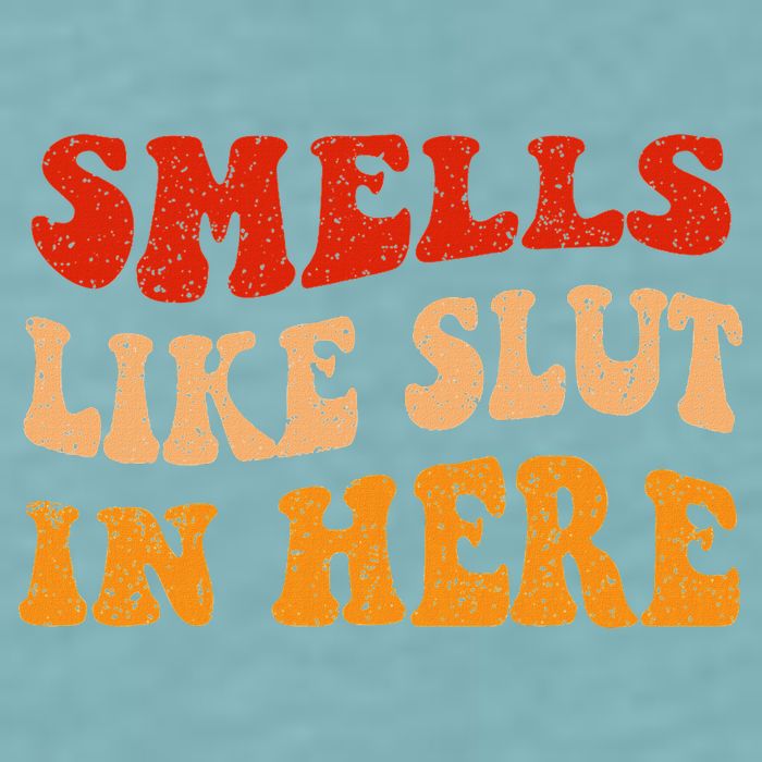 Smells Like Slut In Here Sueded Cloud Jersey T-Shirt