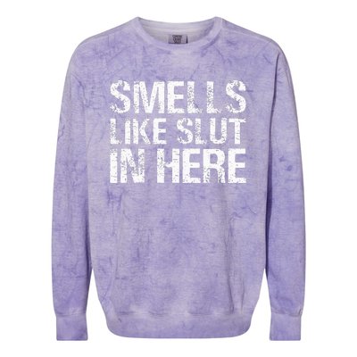 Smells Like Slut In Here Adult Humor Colorblast Crewneck Sweatshirt