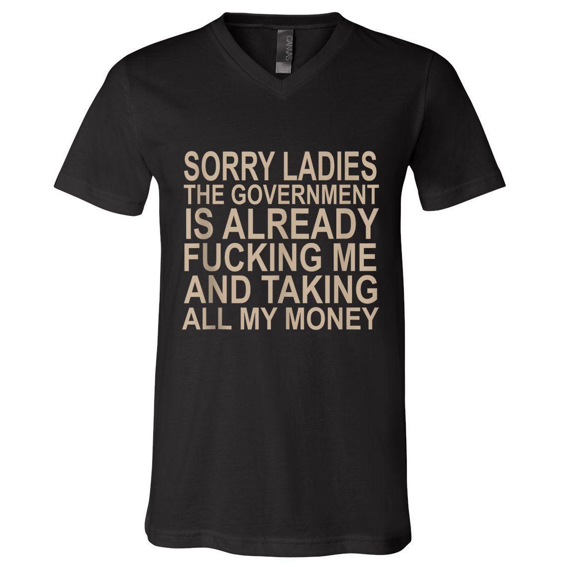 Sorry Ladies The Government Is Already Fucking Me And Taking V-Neck T-Shirt