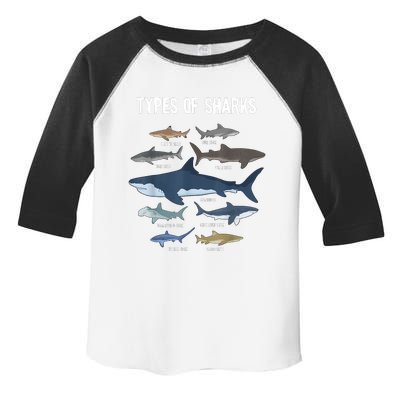 Shark Lover Types Of Sharks Kinds Of Sharks Shark Toddler Fine Jersey T-Shirt