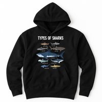 Shark Lover Types Of Sharks Kinds Of Sharks Shark Hoodie