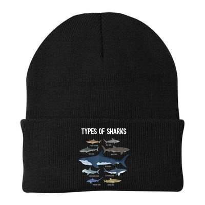 Shark Lover Types Of Sharks Kinds Of Sharks Shark Beanie