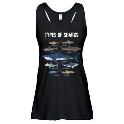 Shark Lover Types Of Sharks Kinds Of Sharks Shark Ladies Essential Flowy Tank