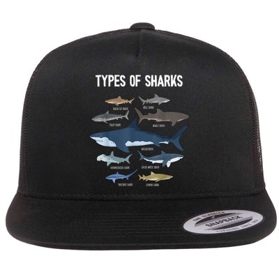 Shark Lover Types Of Sharks Kinds Of Sharks Shark Flatbill Hat
