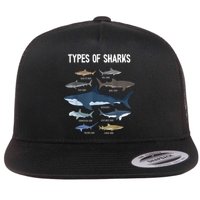 Shark Lover Types Of Sharks Kinds Of Sharks Shark Flatbill Hat