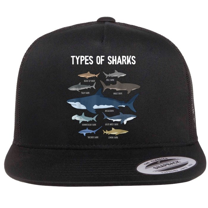 Shark Lover Types Of Sharks Kinds Of Sharks Shark Flatbill Hat