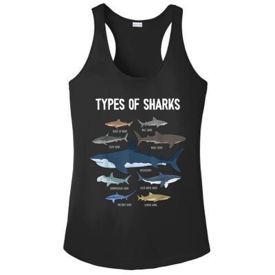 Shark Lover Types Of Sharks Kinds Of Sharks Shark Ladies PosiCharge Competitor Racerback Tank