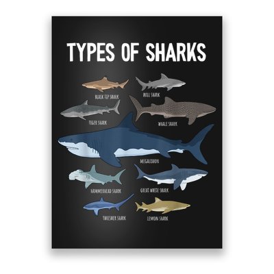 Shark Lover Types Of Sharks Kinds Of Sharks Shark Poster