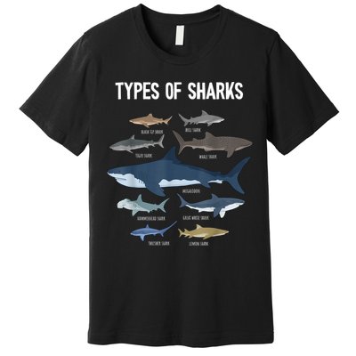 Shark Lover Types Of Sharks Kinds Of Sharks Shark Premium T-Shirt