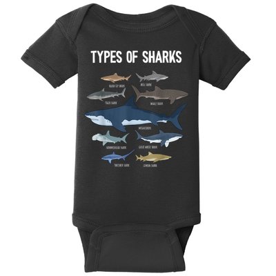 Shark Lover Types Of Sharks Kinds Of Sharks Shark Baby Bodysuit