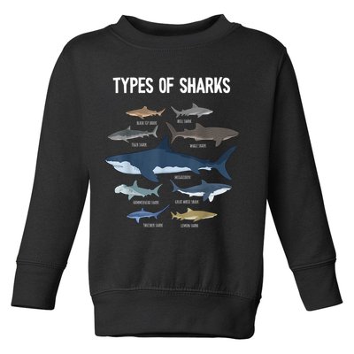 Shark Lover Types Of Sharks Kinds Of Sharks Shark Toddler Sweatshirt