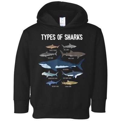 Shark Lover Types Of Sharks Kinds Of Sharks Shark Toddler Hoodie