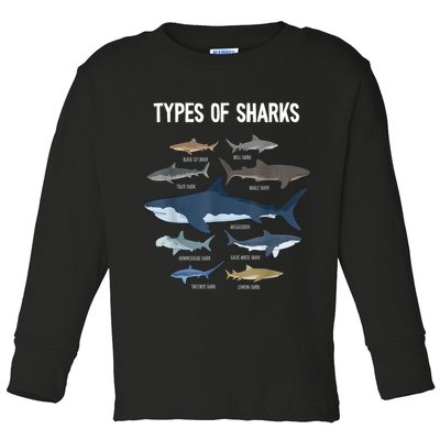 Shark Lover Types Of Sharks Kinds Of Sharks Shark Toddler Long Sleeve Shirt