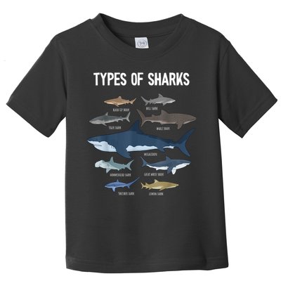Shark Lover Types Of Sharks Kinds Of Sharks Shark Toddler T-Shirt