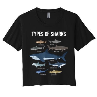 Shark Lover Types Of Sharks Kinds Of Sharks Shark Crop Top