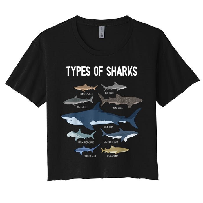 Shark Lover Types Of Sharks Kinds Of Sharks Shark Crop Top