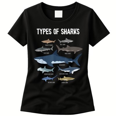 Shark Lover Types Of Sharks Kinds Of Sharks Shark Womens T-Shirt