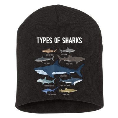 Shark Lover Types Of Sharks Kinds Of Sharks Shark Short Acrylic Beanie