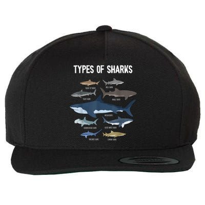Shark Lover Types Of Sharks Kinds Of Sharks Shark Wool Snapback Cap