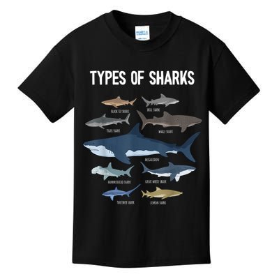Shark Lover Types Of Sharks Kinds Of Sharks Shark Kids T-Shirt