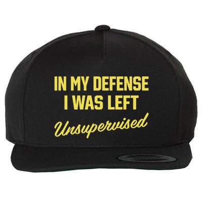 Steve Lehto Wearing In My Defense I Was Left Unsupervised Wool Snapback Cap