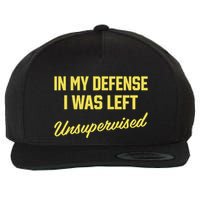 Steve Lehto Wearing In My Defense I Was Left Unsupervised Wool Snapback Cap