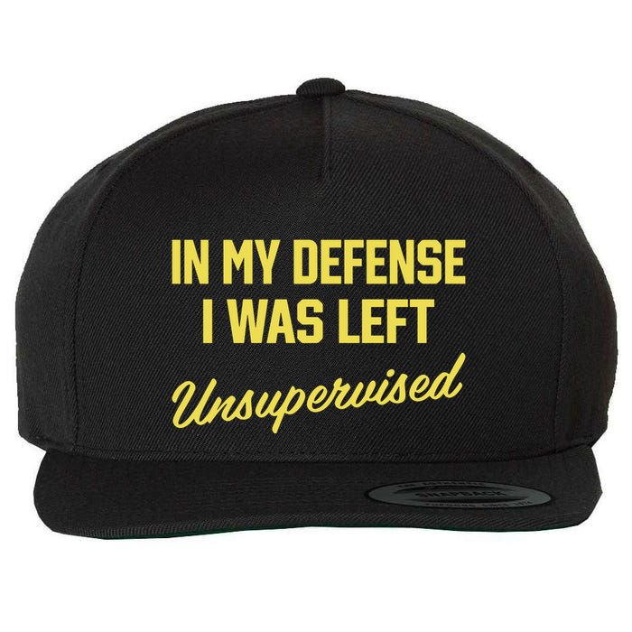 Steve Lehto Wearing In My Defense I Was Left Unsupervised Wool Snapback Cap