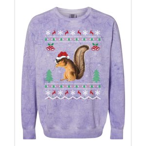 Squirrel Lover Xmas Ugly Santa Hat Squirrel Christmas Gift Colorblast Crewneck Sweatshirt