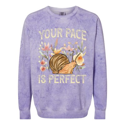 Snail Lover Your Pace Is Perfect Snail Colorblast Crewneck Sweatshirt