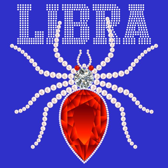 Spider Libra Zodiac Gift 16 in Basic Backpack