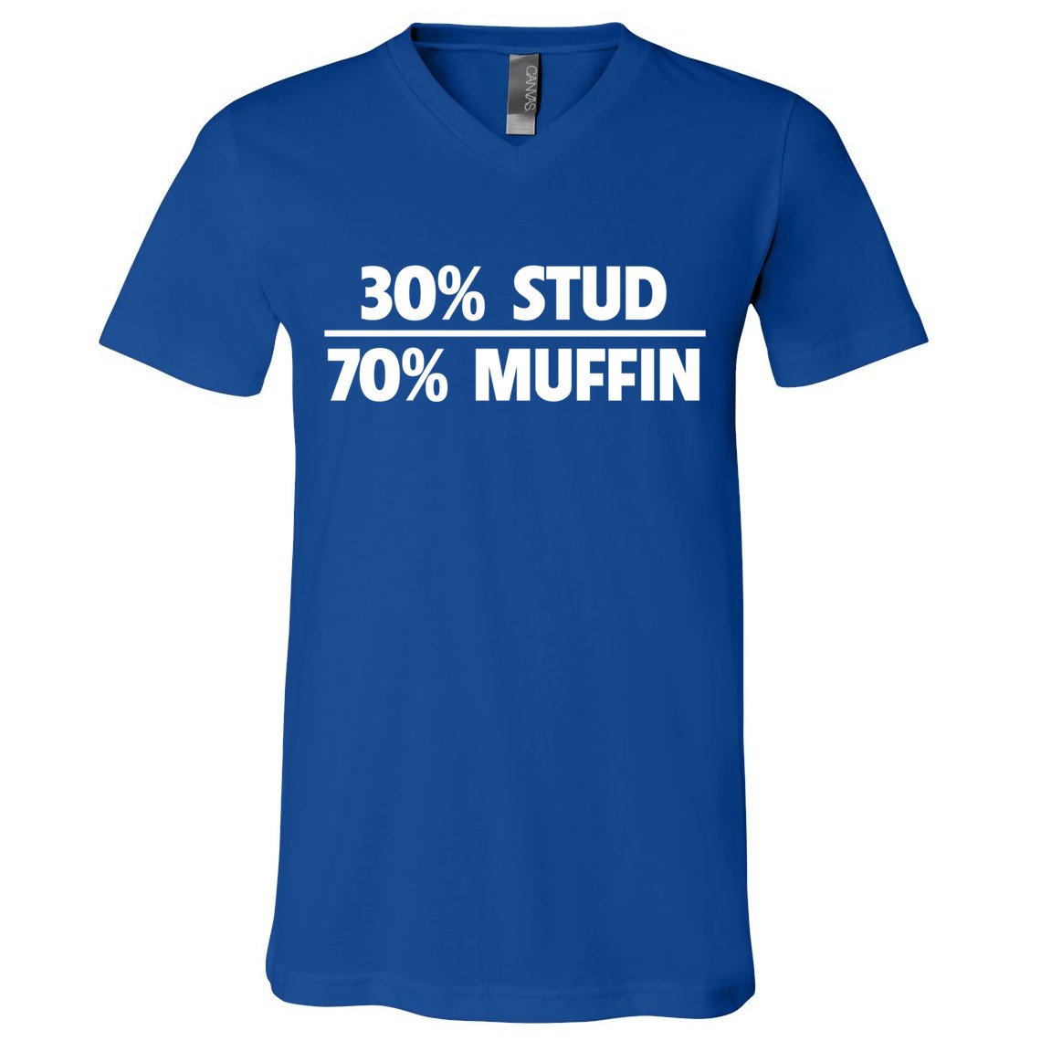 Stud Muffin 30/70 Funny Over 40 Dad Bod Gift V-Neck T-Shirt
