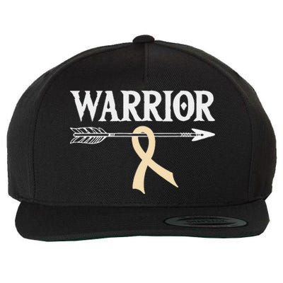 Spinal Muscular Atrophy Warrior Ivory Arrow Ribbon Wool Snapback Cap