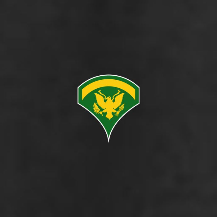 Specialist Military Badge Garment-Dyed Heavyweight T-Shirt