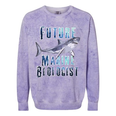 Shark Marine Biology Future Biologist Science Premium Colorblast Crewneck Sweatshirt