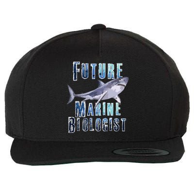 Shark Marine Biology Future Biologist Science Premium Wool Snapback Cap