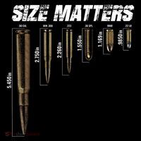 Size Matter Bullet Measure Up Cropped Pullover Crew
