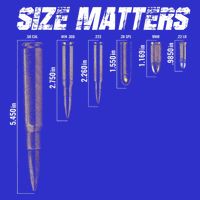 Size Matter Bullet Measure Up Poster