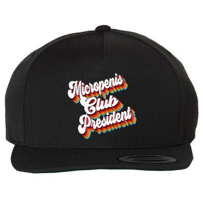 Sarcastic Micropenis Club President Wool Snapback Cap
