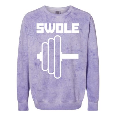 Swole Mates Cute Workout Couples Valentines Day Gym Fitness Gift Colorblast Crewneck Sweatshirt