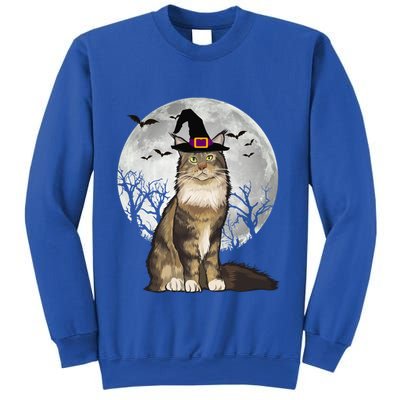 Scary Maine Coon Cat Witch Hat Halloween Gift Sweatshirt