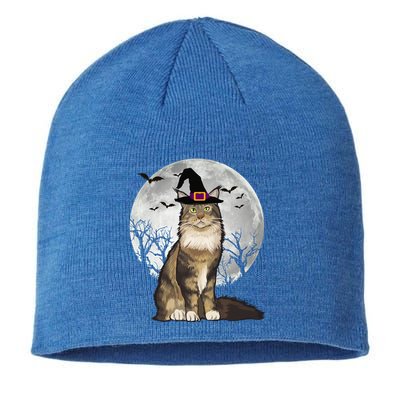 Scary Maine Coon Cat Witch Hat Halloween Gift Sustainable Beanie