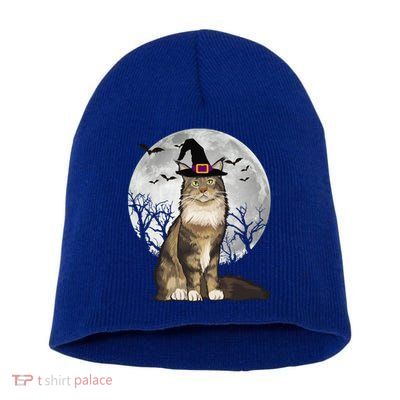 Scary Maine Coon Cat Witch Hat Halloween Gift Short Acrylic Beanie
