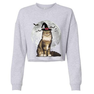 Scary Maine Coon Cat Witch Hat Halloween Gift Cropped Pullover Crew