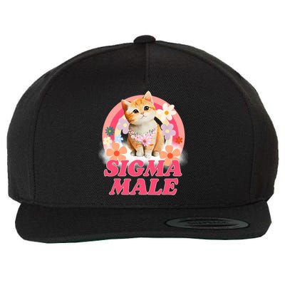 Sigma Male Cat Kitten Funny Wool Snapback Cap