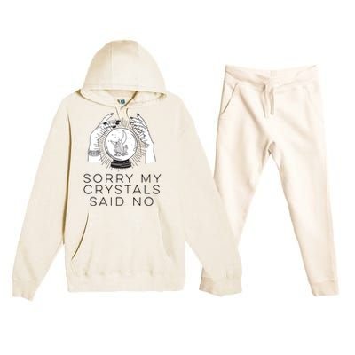 Sorry My Crystals Said No Funny Tarot Witch Halloween Meaningful Gift Premium Hooded Sweatsuit Set